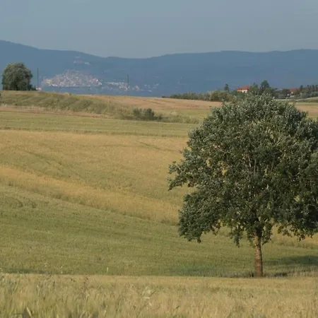 In With Pool Prázdninový dům