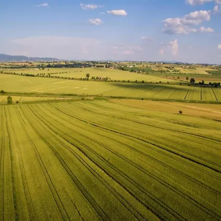 In With Pool Prázdninový dům