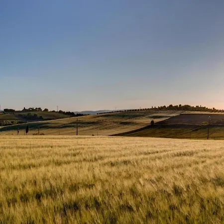 In With Pool 哥尔顿