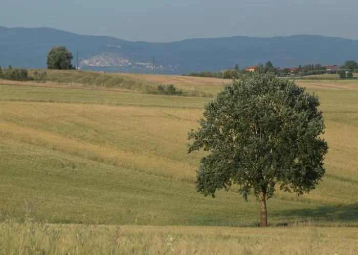 In With Pool Dom wakacyjny