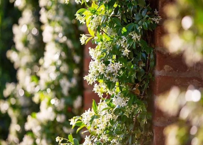 In With Pool Dom wakacyjny *