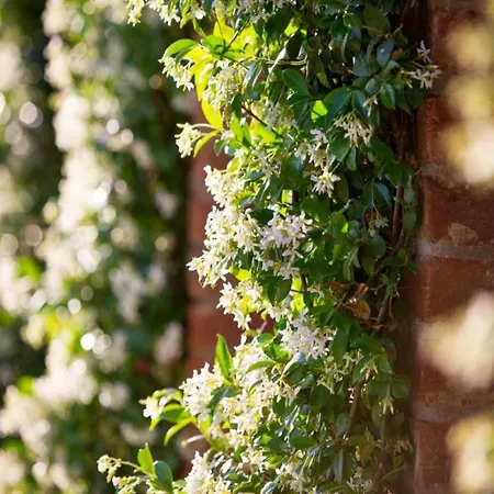 In With Pool Будинок відпочинку *